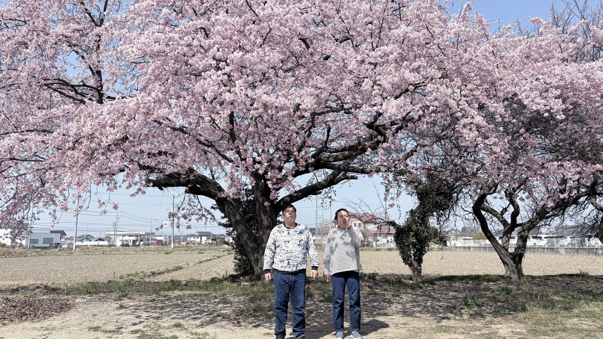 3d00262f-1e25-4bd7-af7d-d8ab2181d7b2_0.jpg